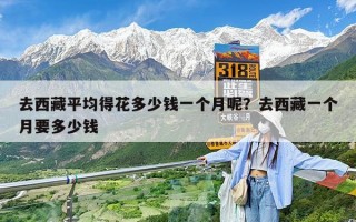 去西藏平均得花多少钱一个月呢？去西藏一个月要多少钱