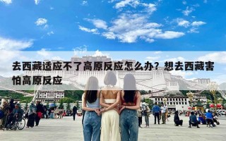 去西藏适应不了高原反应怎么办？想去西藏害怕高原反应