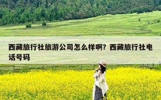 西藏旅行社旅游公司怎么样啊？西藏旅行社电话号码