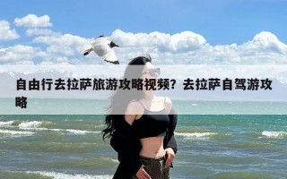 自由行去拉萨旅游攻略视频？去拉萨自驾游攻略