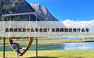 去西藏旅游什么车合适？去西藏旅游用什么车