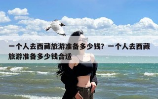 一个人去西藏旅游准备多少钱？一个人去西藏旅游准备多少钱合适