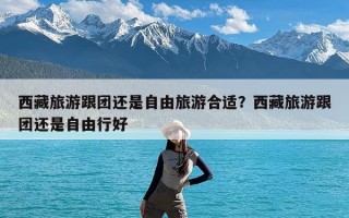 西藏旅游跟团还是自由旅游合适？西藏旅游跟团还是自由行好