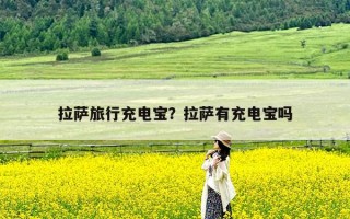 拉萨旅行充电宝？拉萨有充电宝吗