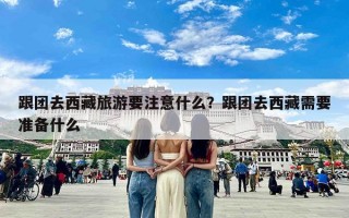 跟团去西藏旅游要注意什么？跟团去西藏需要准备什么