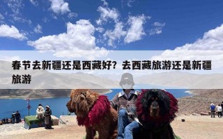 春节去新疆还是西藏好？去西藏旅游还是新疆旅游