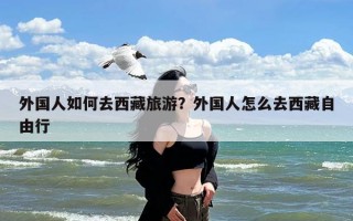 外国人如何去西藏旅游？外国人怎么去西藏自由行