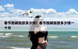 春节西藏旅游多少钱？春节西藏旅游多少钱一个月