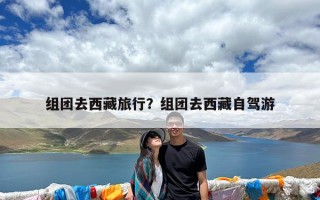 组团去西藏旅行？组团去西藏自驾游