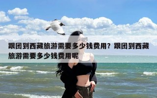 跟团到西藏旅游需要多少钱费用？跟团到西藏旅游需要多少钱费用呢