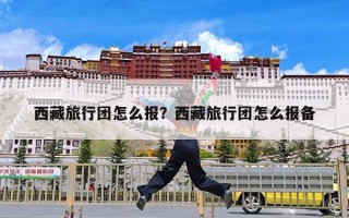 西藏旅行团怎么报？西藏旅行团怎么报备