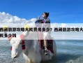 西藏旅游攻略大概费用多少？西藏旅游攻略大概多少钱