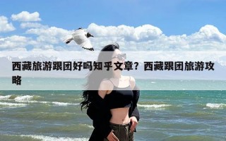 西藏旅游跟团好吗知乎文章？西藏跟团旅游攻略