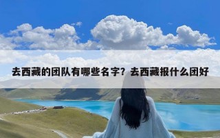 去西藏的团队有哪些名字？去西藏报什么团好