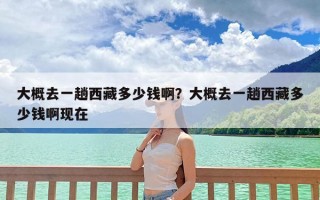 大概去一趟西藏多少钱啊？大概去一趟西藏多少钱啊现在