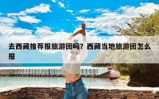 去西藏推荐报旅游团吗？西藏当地旅游团怎么报