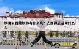 跟团去西藏旅游有什么坑？去西藏旅游用什么车