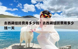 去西藏组团费用多少钱？去西藏组团费用多少钱一天