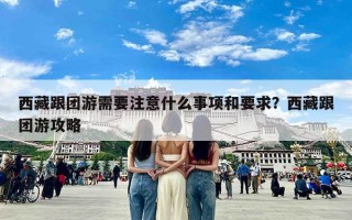 西藏跟团游需要注意什么事项和要求？西藏跟团游攻略