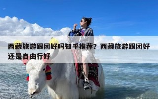 西藏旅游跟团好吗知乎推荐？西藏旅游跟团好还是自由行好