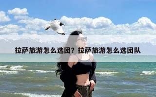 拉萨旅游怎么选团？拉萨旅游怎么选团队