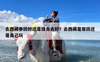 去西藏参团好还是独自去好？去西藏是报团还是自己玩