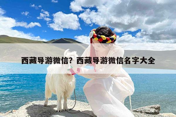西藏导游微信?西藏导游微信名字大全