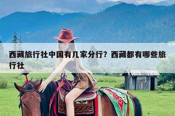 西藏旅行社中国有几家分行?西藏都有哪些旅行社