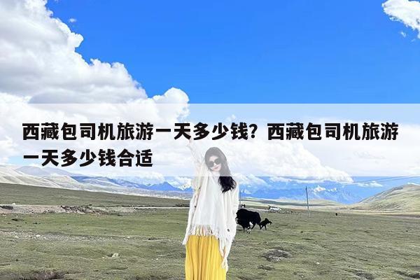 西藏包司机旅游一天多少钱?西藏包司机旅游一天多少钱合适