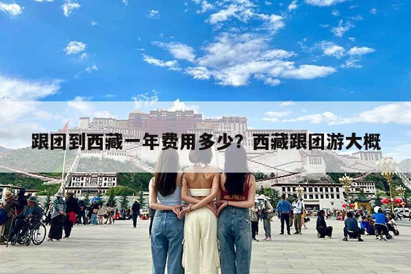 跟团到西藏一年费用多少?西藏跟团游大概