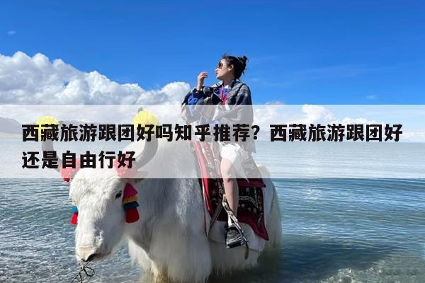 西藏旅游跟团好吗知乎推荐?西藏旅游跟团好还是自由行好