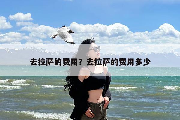 去拉萨的费用?去拉萨的费用多少