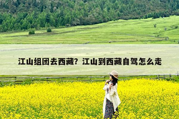 江山组团去西藏?江山到西藏自驾怎么走