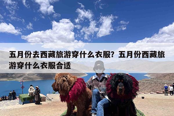 五月份去西藏旅游穿什么衣服?五月份西藏旅游穿什么衣服合适