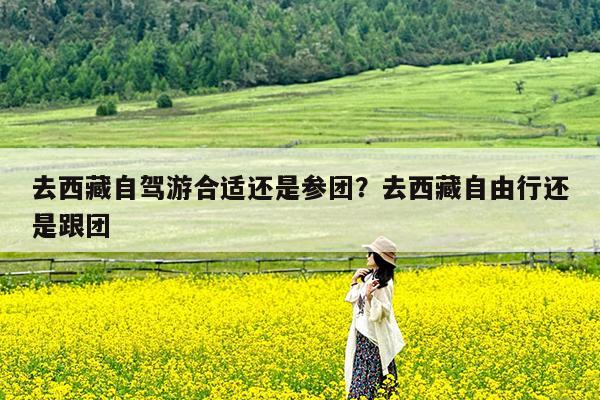 去西藏自驾游合适还是参团?去西藏自由行还是跟团