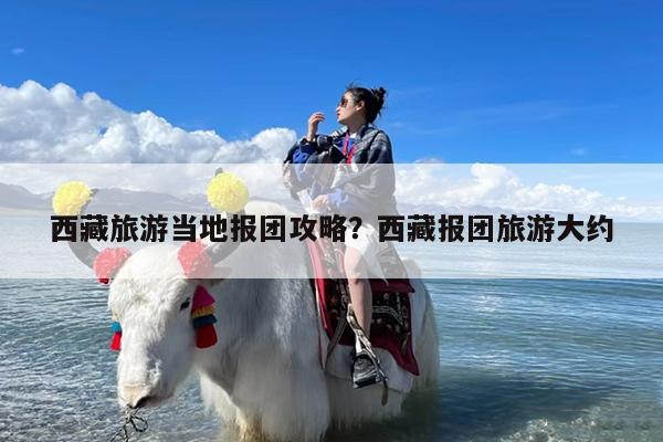 西藏旅游当地报团攻略?西藏报团旅游大约